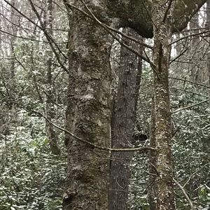 Meet your Posher, Jocelyn